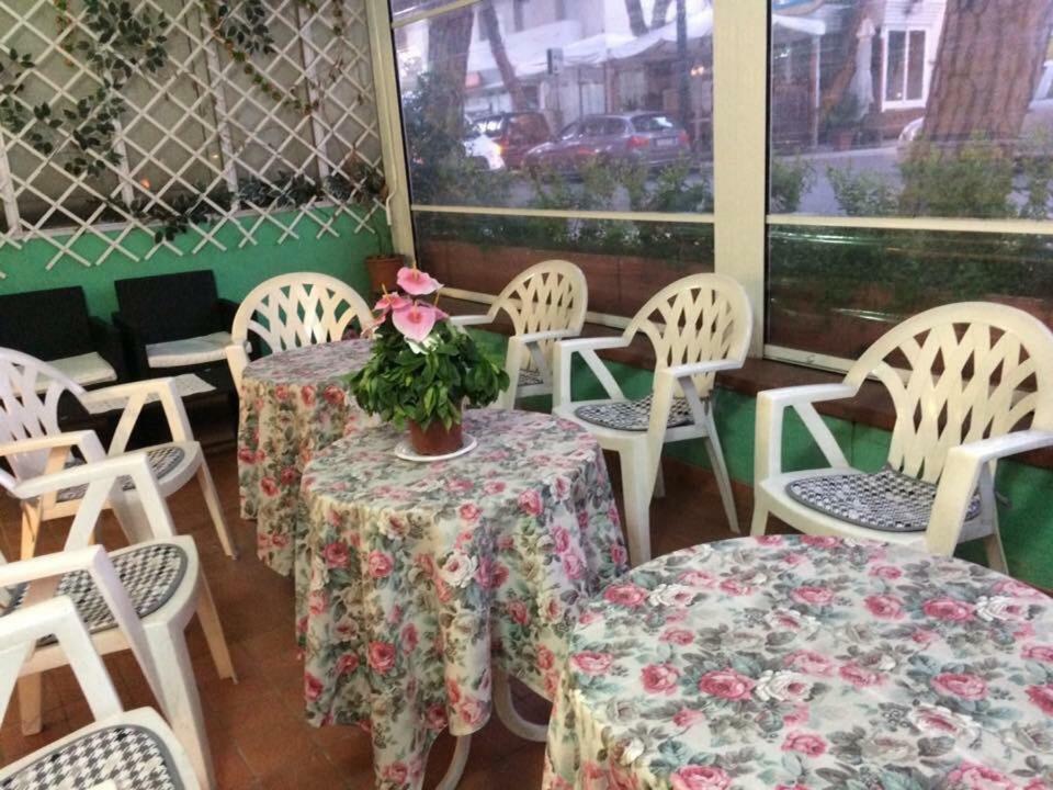 New Prophet Bed & Breakfast Cattolica Ngoại thất bức ảnh