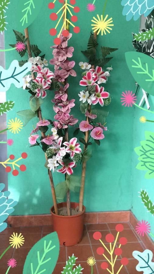 New Prophet Bed & Breakfast Cattolica Ngoại thất bức ảnh